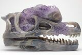 Carved, Amethyst Crystal Geode Dinosaur Skull - Roar! #208842-1